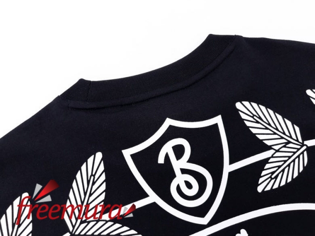 batch_52301676556283_.pic.jpg