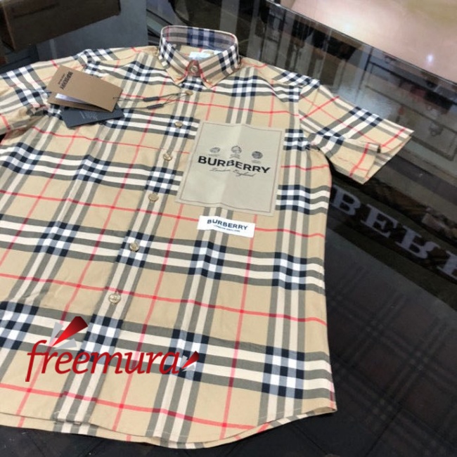 batch_84891679458763_.pic.jpg