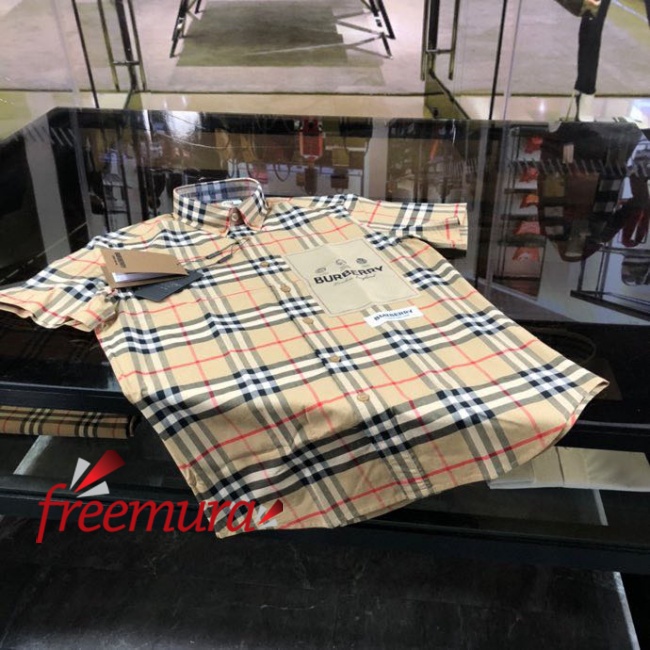 batch_84921679458763_.pic.jpg