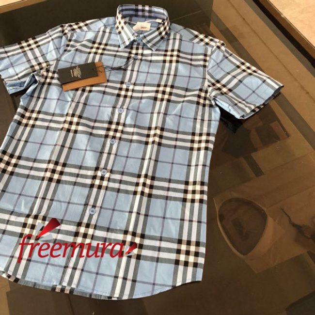 batch_85081679459137_.pic.jpg