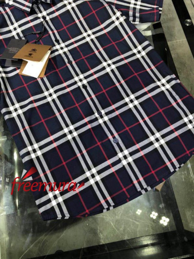 batch_85241679459219_.pic.jpg