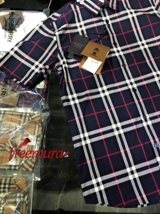 batch_85271679459219_.pic.jpg