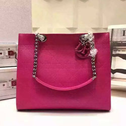 디올 울트라디올 숄더백  Bag