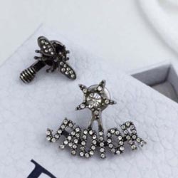 크리스찬디올 귀걸이