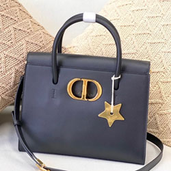 크리스찬디올 토드백  DR-210128
