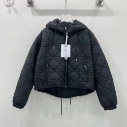 디올 D-753989
