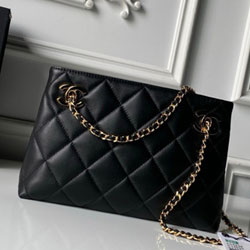 샤넬 핸드백 25cm AS6248