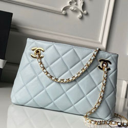 샤넬 핸드백 25cm AS6248