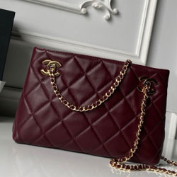 샤넬 핸드백 25cm AS6248