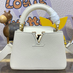 루이비통 카퓌신 미니 M24729